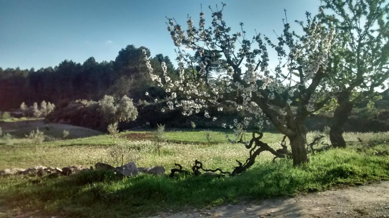 Casa Rumbet Horta de Sant Joan Exterior foto